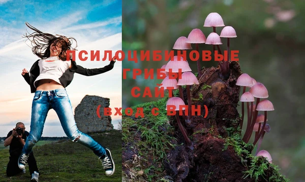 а пвп мука Алексин