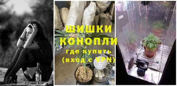 эйфоретик Алексеевка