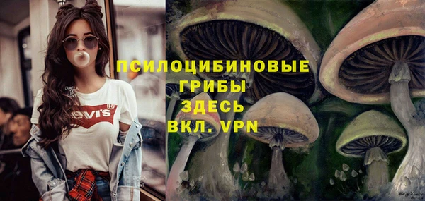 apvp Осинники