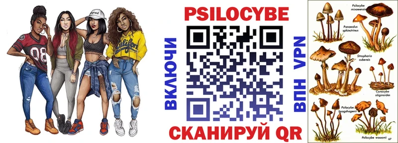 hydra как войти  Камешково  Галлюциногенные грибы Cubensis 